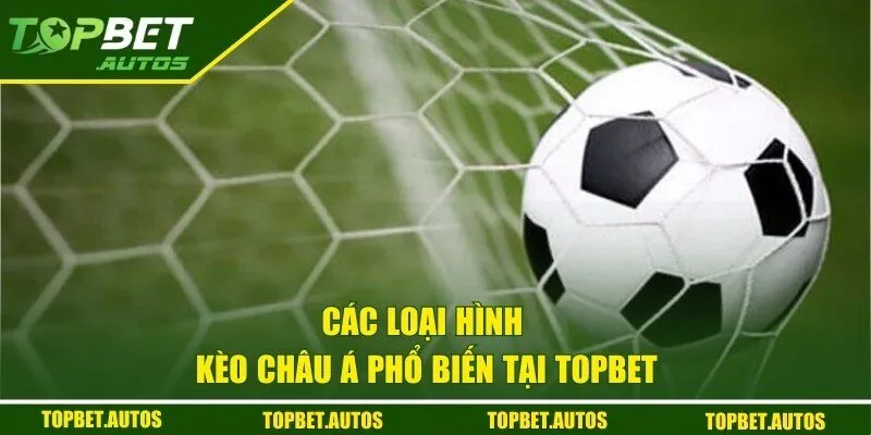 Kèo Châu Á TOPBET - Bí Kíp Vàng Giúp Người Chơi Thắng Lớn 2 Các loại hình đặt cược phổ biến tại nhà cái uy tín