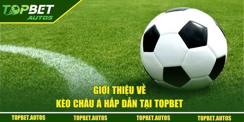 Kèo Châu Á TOPBET - Bí Kíp Vàng Giúp Người Chơi Thắng Lớn 1 Giới thiệu về kèo Châu Á